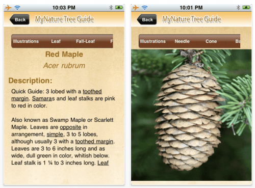 MyNature Tree Guide 1.0 Released