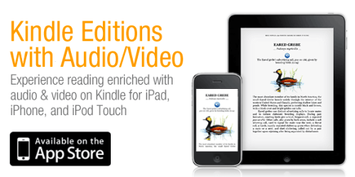 Amazon Announces Video and Audio for Kindle Apps