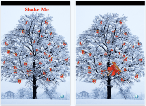 Shake Tree To Receive Wisdom And Predictions