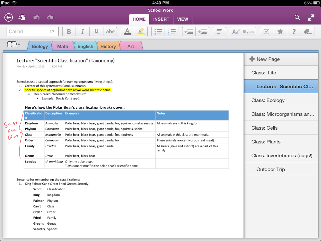 Microsoft Releases Major Update to OneNote for iPhone, iPad, Android [Video]