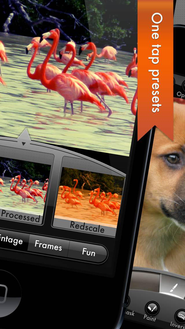 Photogene App Gets Updated as a Universal Binary, PRO Package is Now Free