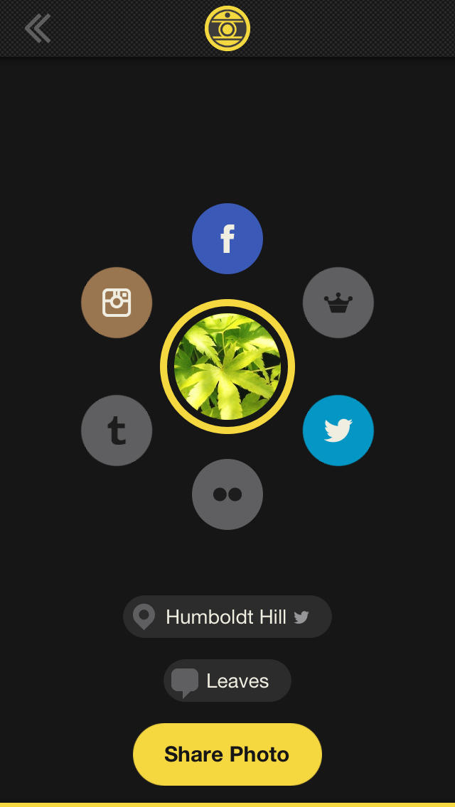 Hipstamatic Oggl Gets Updated for iOS 7, Adds Push Notifications for Photo Likes/Comments