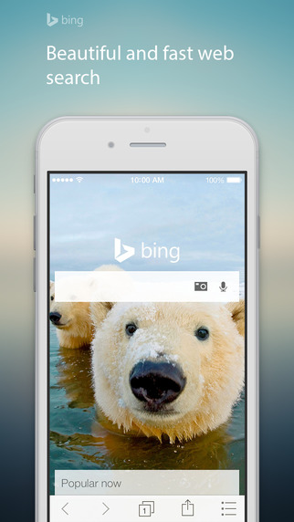 Bing for iPhone Gets New Homescreen, Bing for iPad Gets New Today View, Translation Extension