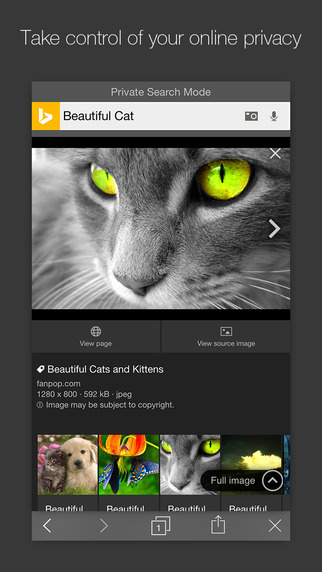 Bing App Gets Private Search Mode, New Image Search, In-line Video Previews, More