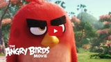 Watch the First Teaser Trailer for the Angry Birds Movie [Video]