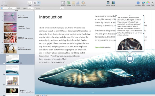 Apple Updates iBooks Author With Support for Pop-Over Widget in ePub Templates