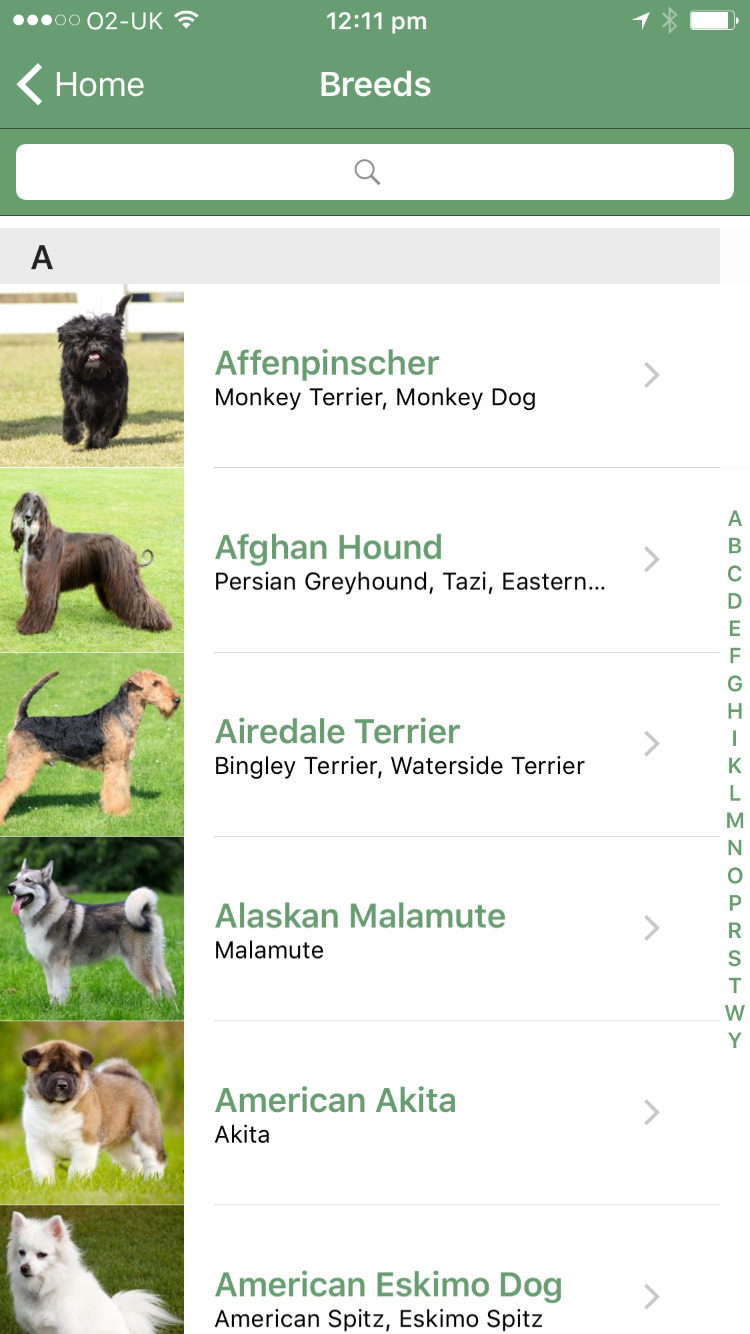 Microsoft Releases Fetch! App for iPhone That Identifies a Dog&#039;s Breed From a Photo [Video]