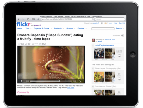Flickr Announces HMTL5 Video Player for iPad