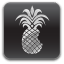 Guida al Jailbreak ed allo sblocco dell&#039; iPhone 3G tramite RedSn0w (Mac) [4.2.1]