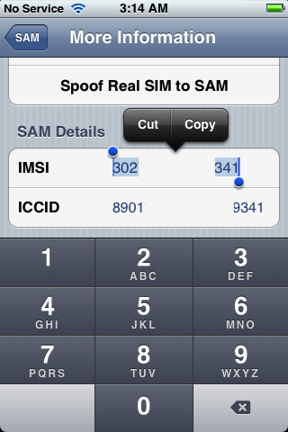 Wie entsperre ich mein iPhone 4S, iPhone 4, iPhone 3GS mit SAM [5.0, 5.0.1, 5.1]