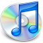 Como habilitar edicion de datos de intrenet en  iTunes 8.2 (Windows)