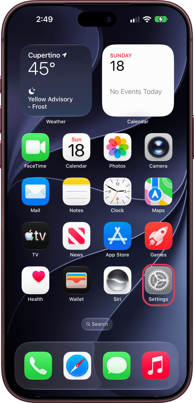 The Settings app outlined on the Home Screen.