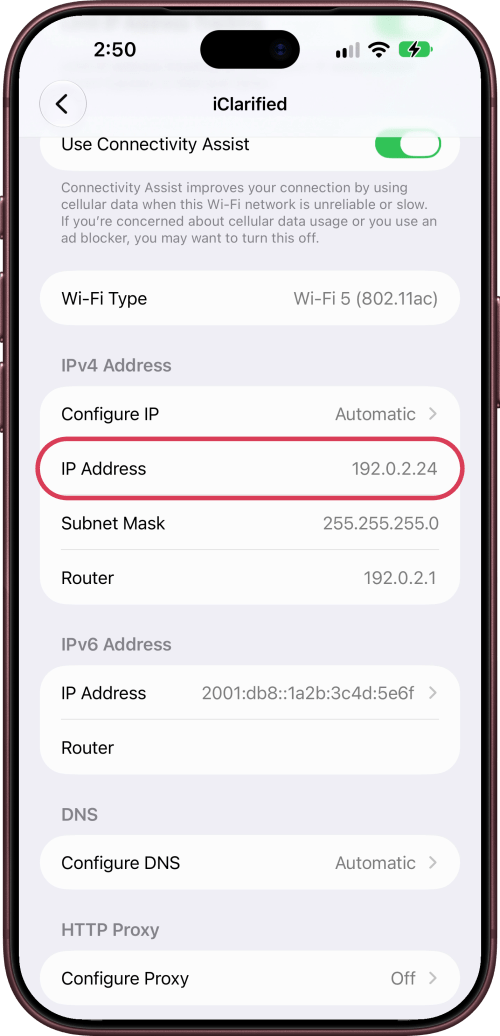 IP Address outlined under IPv4 Address.