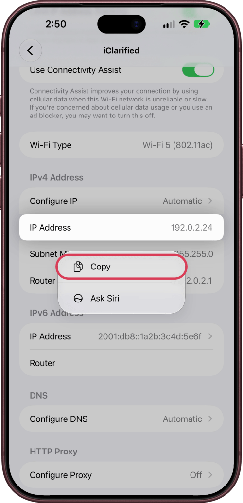 Copy outlined in the menu that opens on IP Address.