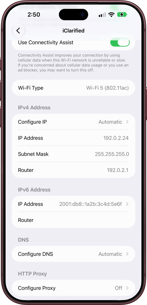 The IPv4 Address section after copying, with IP Address, Subnet Mask and Router.
