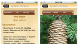 MyNature Tree Guide 1.0 Released