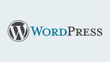 ScreenSteps 2.1 Posts to WordPress, TypePad