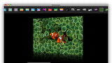 Picturesque 2.0 Released