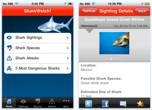 SharkWatch! iPhone App for Shark Enthusiasts