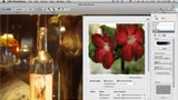 Gertrudis Graphics Releases GMX-PhotoPainter