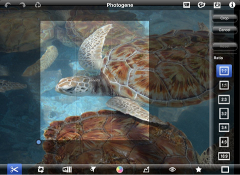 Photogene for iPad Adds Support for Flickr, FTP, IPTC Metadata