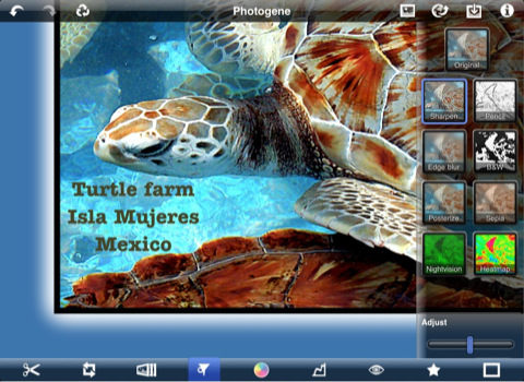 Photogene for iPad Adds Support for Flickr, FTP, IPTC Metadata