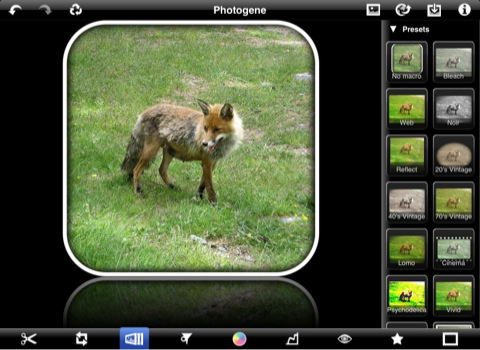 Photogene for iPad Adds Support for Flickr, FTP, IPTC Metadata