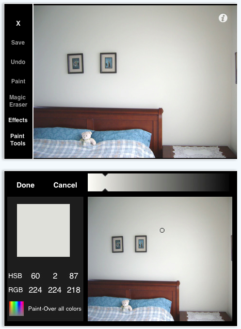 Visualize Before You Paint