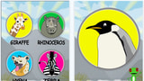 A Highly Educational Animal Fact App