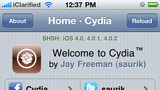 Cydia Has Acquired Rock Your iPhone
