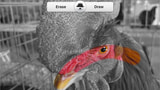 RogueSheep Releases TouchUp Photo Editing App