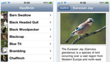 PointRelease Software Introduces iSpyBirds 1.0