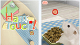Stunning 3D Virtual Pets With HamTouch!
