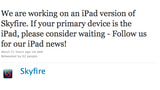 Skyfire Will Also Release a Web Browser for the iPad