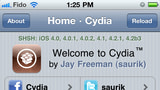 Saurik Revamps Cydia Theme Center, Cydia 1.1 Coming Soon