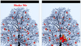 Shake Tree To Receive Wisdom And Predictions
