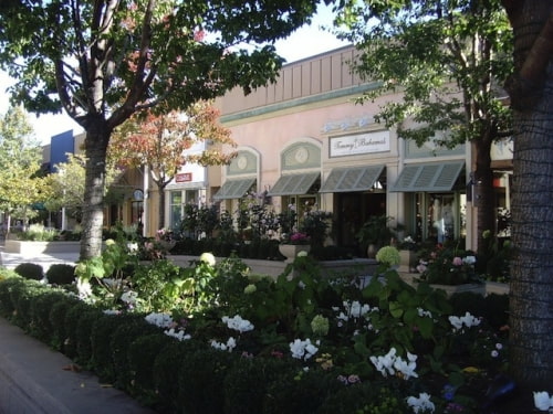 Steve Jobs Hides in the Bushes to Spy on Customers