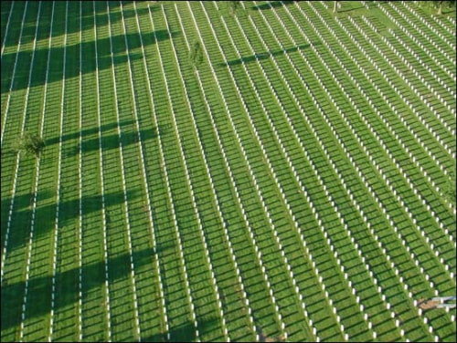 Soldiers Use iPhones to Photograph Graves of Over 300,000 at Arlington Cemetery