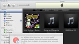 iTunes 8 Takes Action Against Pwnage