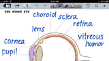 Notability Adds Support for Retina Display iPad, Other Improvements