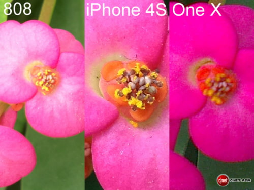 Camera Shoot-Out: iPhone 4S vs. Nokia 808 vs. HTC One X [Photos]