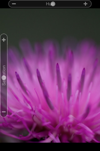 Adobe Updates Photoshop Express for iOS