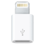 Europe Gets Lightning to Micro USB Adapter