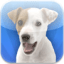 CallFire Launches Voice Broadcast App for iPhone