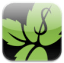 Mint.com Introduces iPhone Application