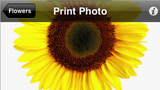 HP Announces HP iPrint Photo for iPhone