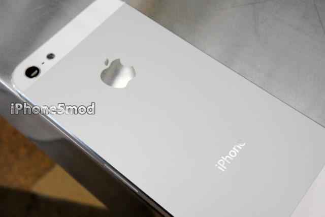 iPhone 5 Back Panel Replacement for $99