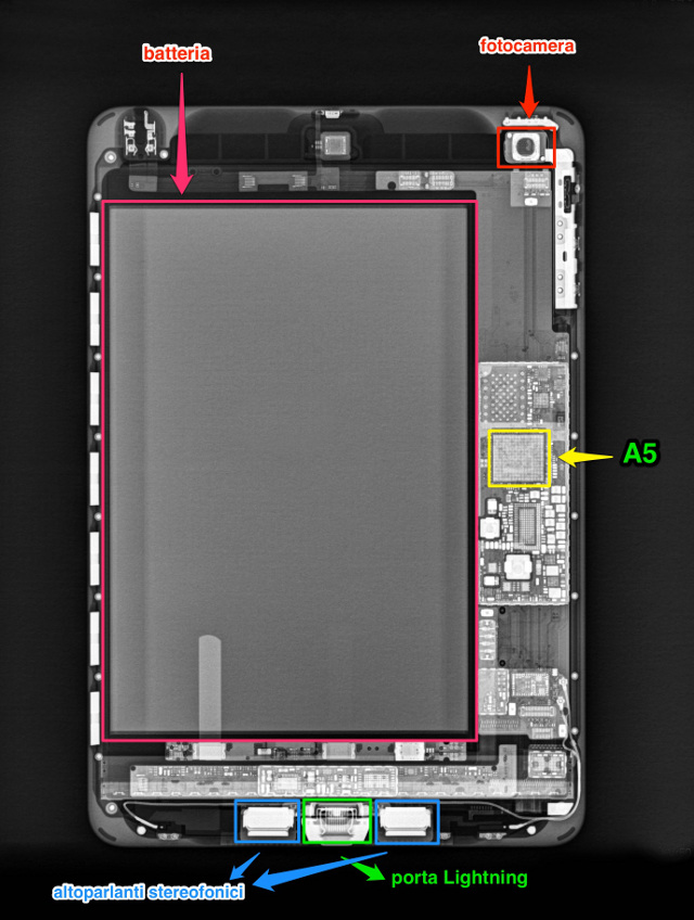 iPad Mini Gets X-Rayed [Photo]