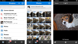 Dropbox App Gets New PDF Viewer, Date Sort, Shared Folder Push Notifications