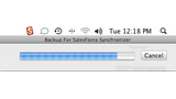 PocketMac Backup for SalesForce
